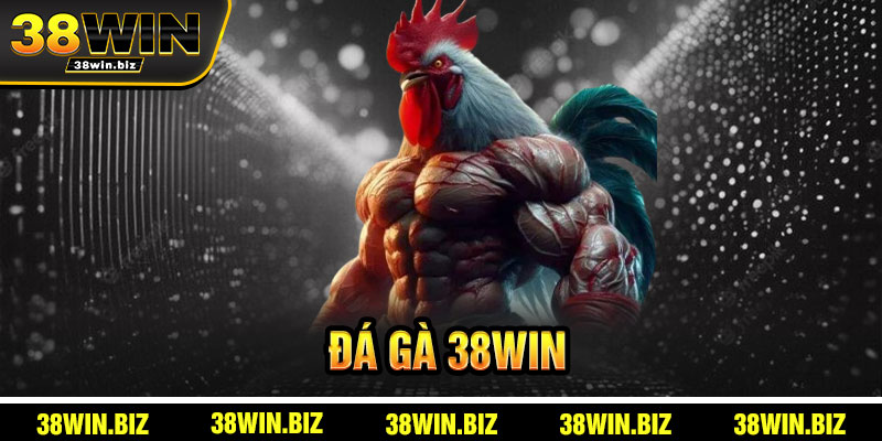 Đá Gà 38win