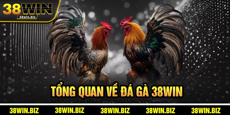Tổng Quan Đá Gà 38win