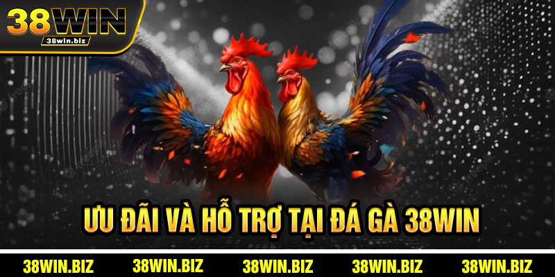 Ưu Đãi Và Hỗ Trợ Tại Đá Gà 38win