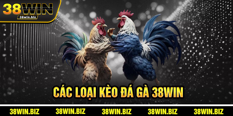 Các Loại Kèo Đá Gà